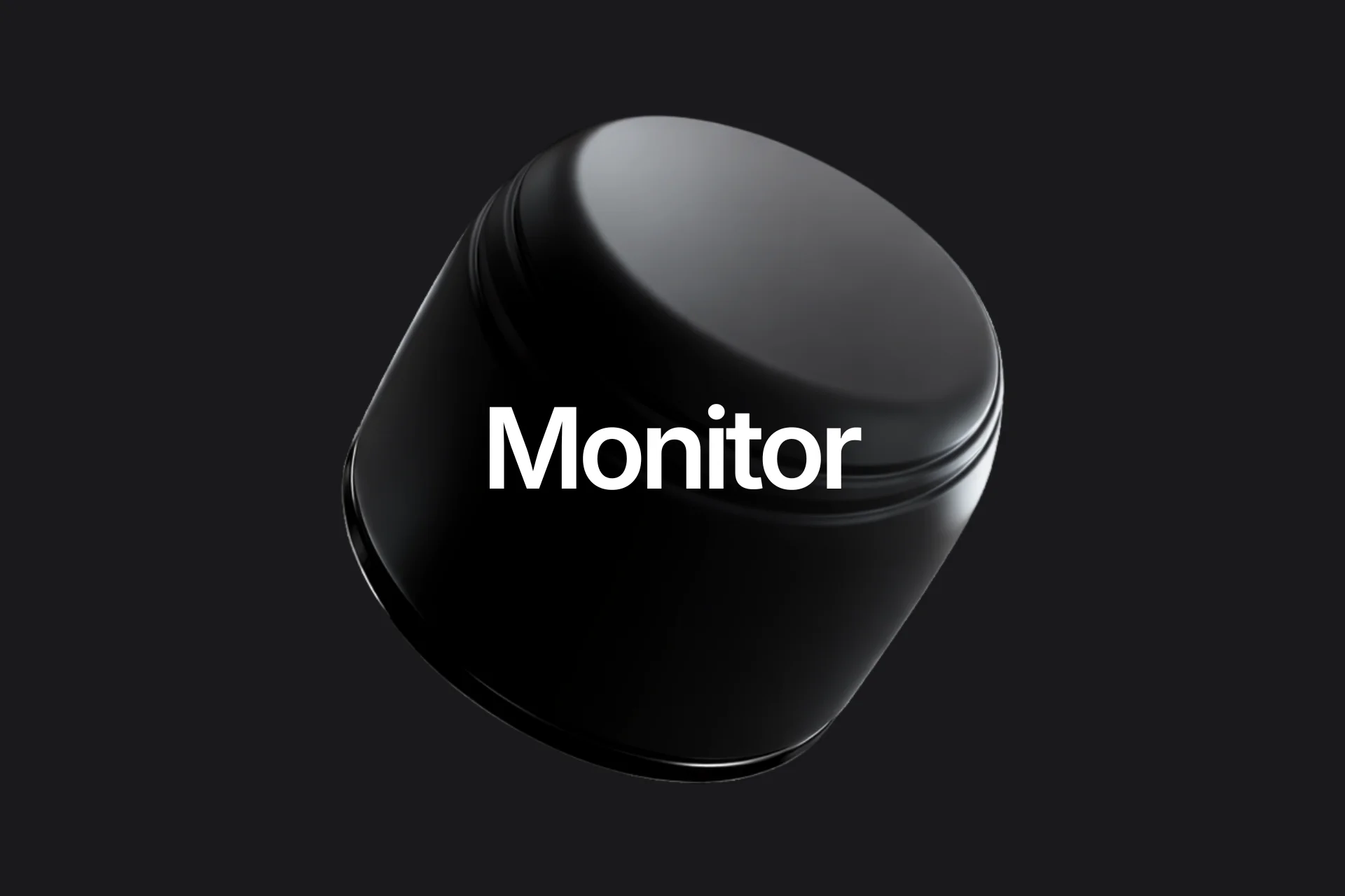 system zarzadzania paliwem - MONITOR